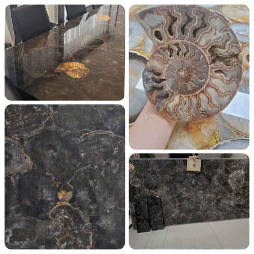 PETRIFIED WOOD BLACK BROWN